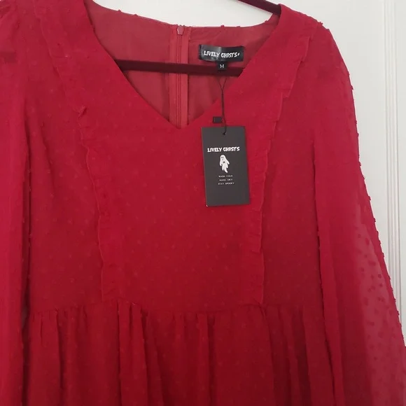 Lively Ghosts Red Dress - Picture 3 of 3